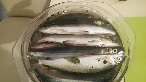 Мокрая засолка рыбы
