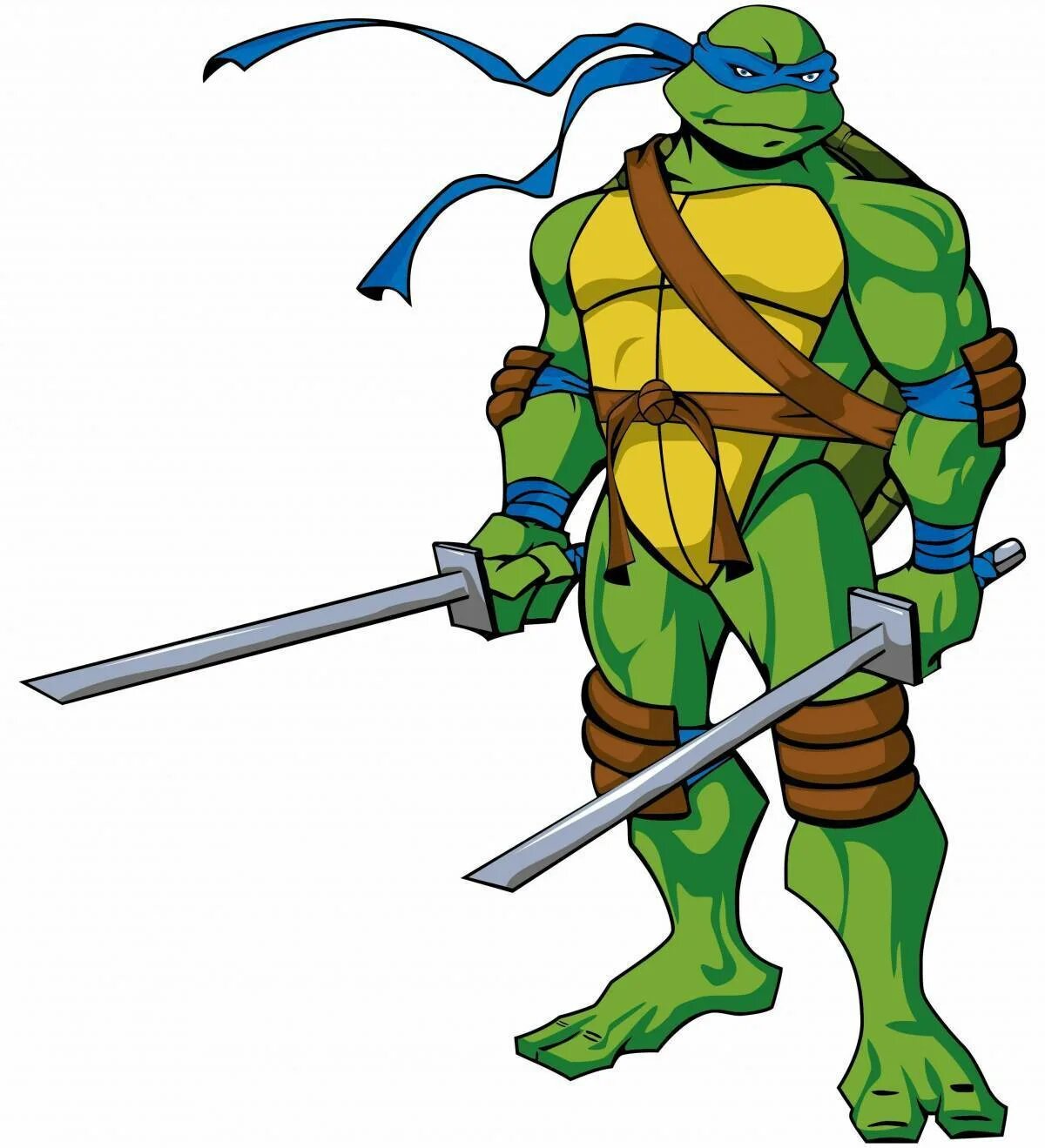 Leonardo turtle