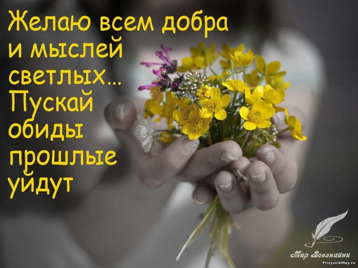 Желаю всем любви радости надежды. Желаю вам добра и мыслей светлых пускай обиды прошлые уйдут. всем добра. желаю всем добра и мыслей светлых. желаю мира и добра.