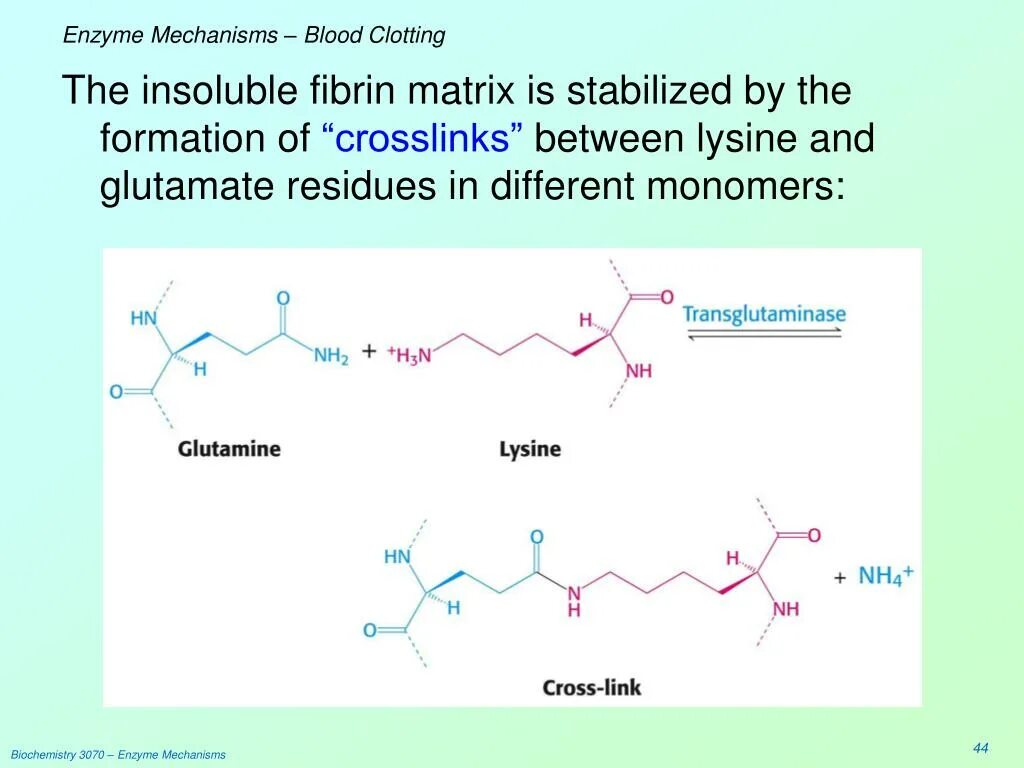 Фибрин формула. Enzyme Biochemistry ppt. Fibrinolysin Biochemistry. Mechanism of Blood clotting. Пав энзимы