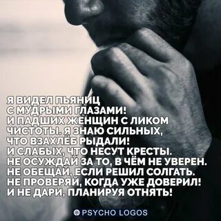 Фраза месяца