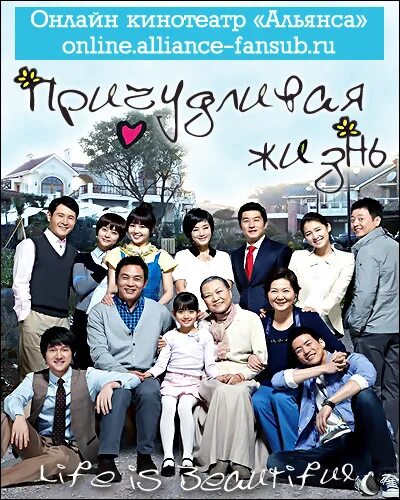 корни баобаба. жизнь прекрасна дорама. причудливая жизнь. остров сокотра йемен. милорн дерево.