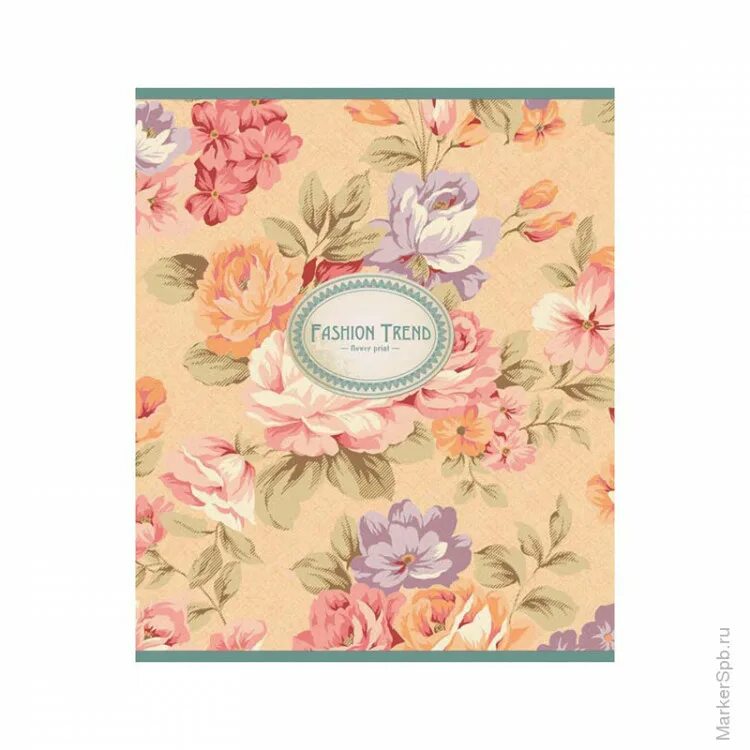 Канц-эксмо тетрадь 48 листов. Тетрадь 48 листов в клетку однотонная. Тетрадь общая 48 листов. Тетрадь 48л. Тетрадь общая 48 листов.