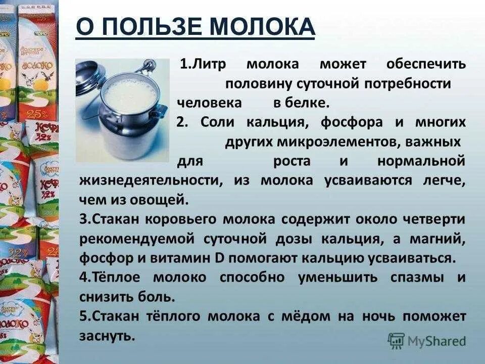 Можно ли молоко взрослому человеку