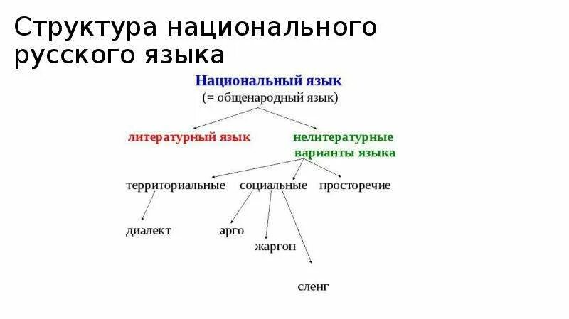 Литературный язык является. Структура русского национального языка. Состав русского национального языка. Структура русского языка схема. Состав современного русского языка схема.