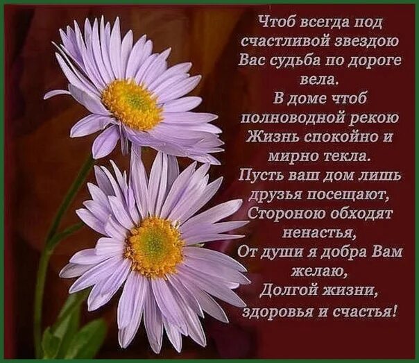 Всегда под. Чтоб всегда под счастливой звездою. чтоб всегда под счастливой звездою вас судьба. пусть всегда под счастливой звездою вас судьба по дороге вела. картинка чтоб всегда под счастливой звездою.