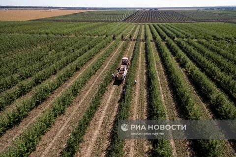 Жер жұмыстары
