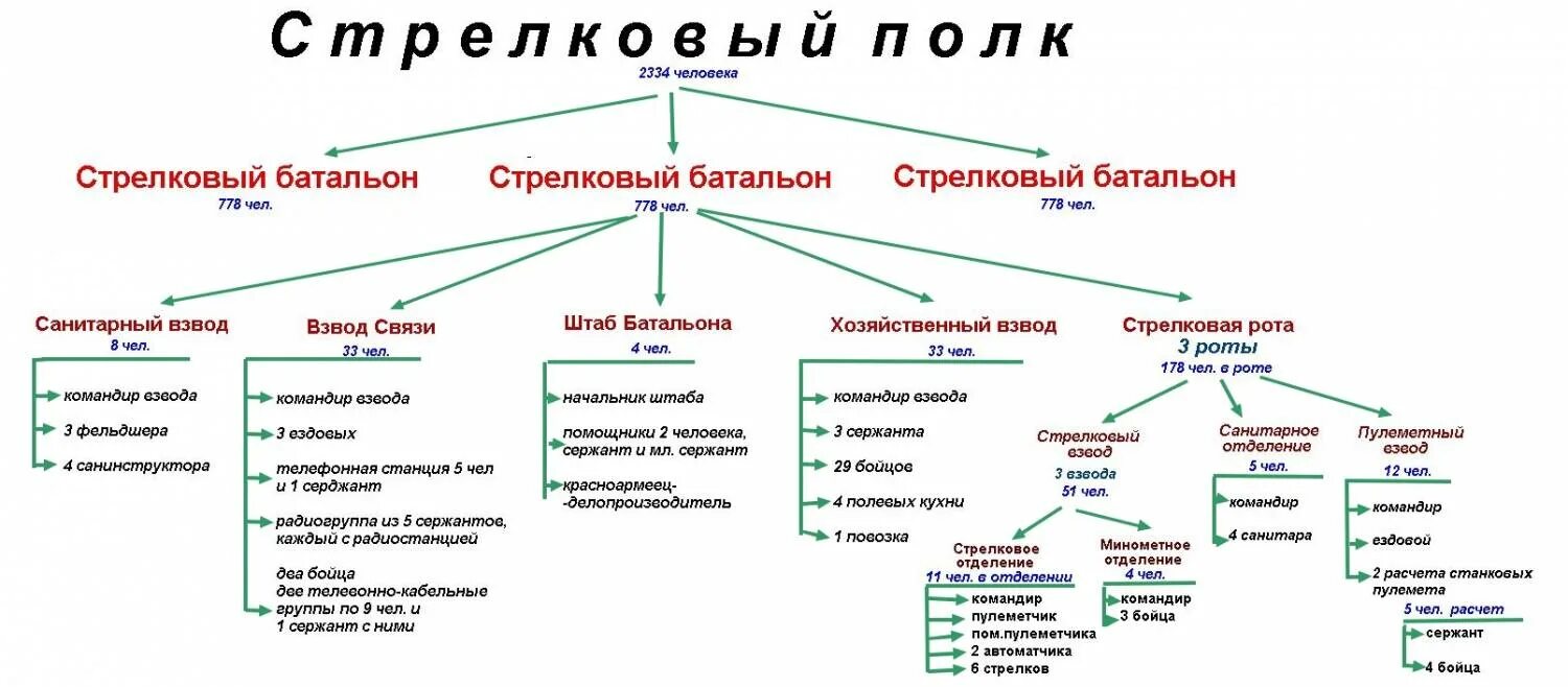 Штатная структура стрелкового полка РККА В 1943. Стрелковый полк РККА 1941-1945 штат. Численность полка РККА В 1941 году. Штатная структура Стрелковой дивизии РККА.