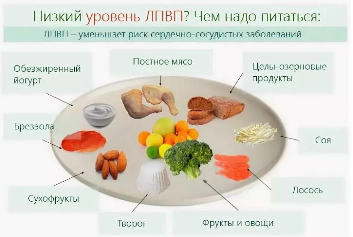 Низкий белок у мужчины. Продукты содержащие ЛПНП. Низкий уровень ЛПВП. Продукты для повышения холестерина. Питание для повышения хорошего холестерина.