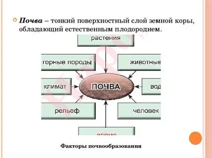 Что из перечисленного участвует