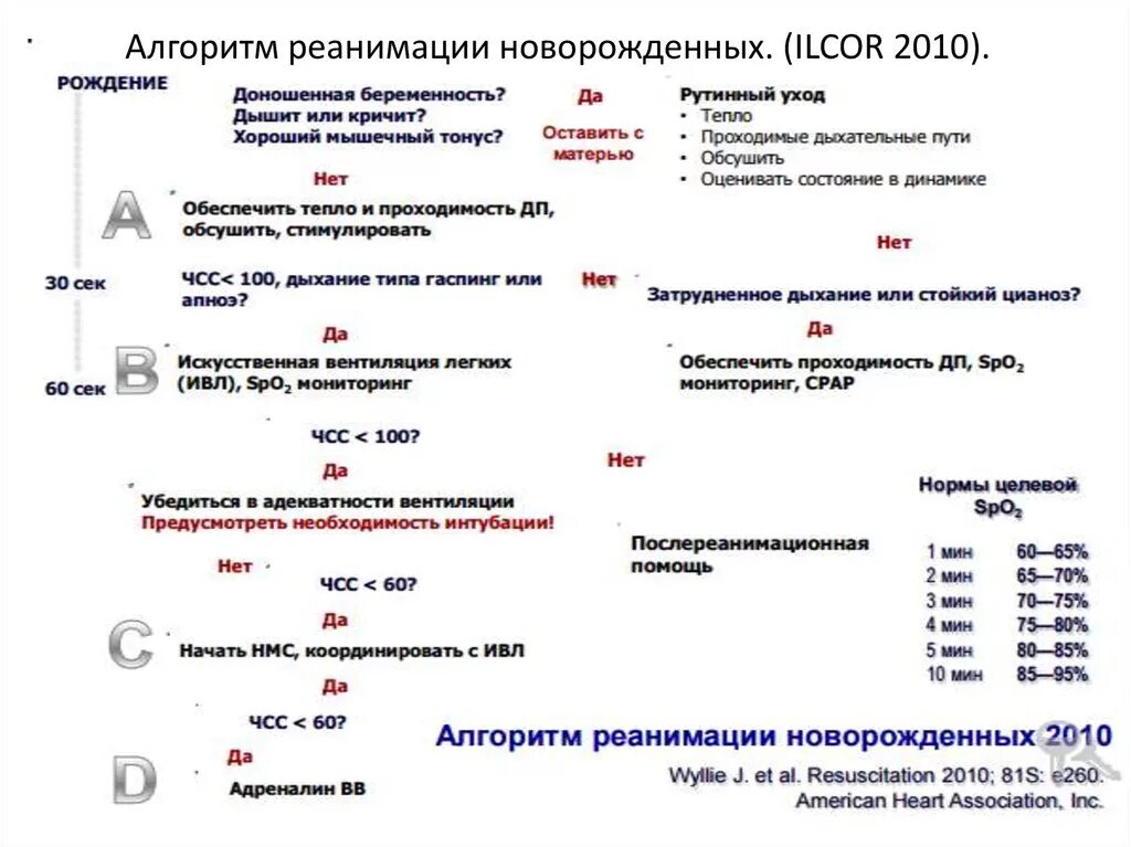 Первичная реанимация новорожденных алгоритм. Реанимация новорожденного при асфиксии алгоритм. Алгоритм проведения реанимации новорожденного в родильном зале.. Протокол реанимации новорожденных таблица.