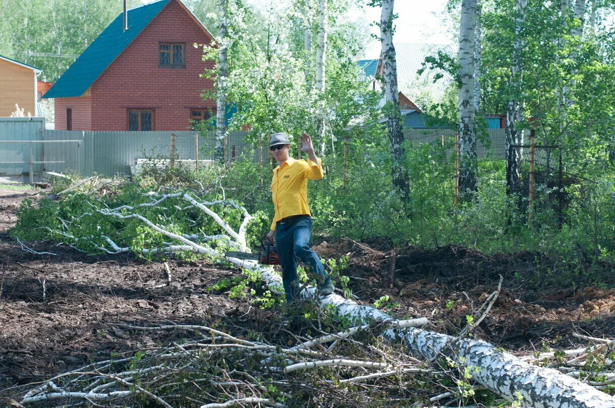 Очистка участка цены. Уборка участка от деревьев и кустарников. Расчистка территории от деревьев и кустарников. Спиливание деревьев на участке. Очистка участка от деревьев.