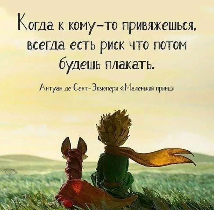 Цитаты про май из книг. Высказывание сент экзюпери маленький принц. маленький принц высказывания. цитаты из маленького принца. маленькие цитаты.