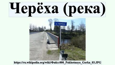 Псков череха расписание
