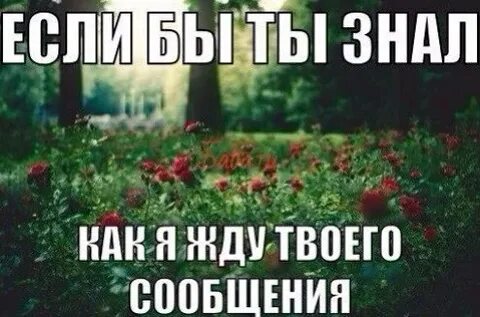 Жду твою