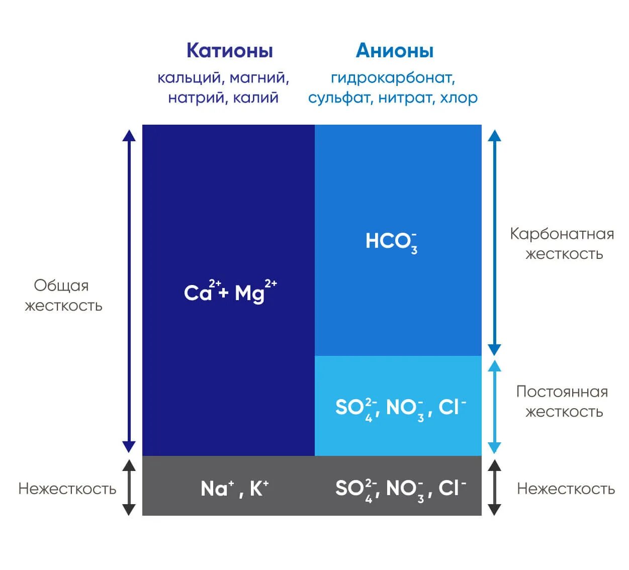 Витамины макроэлементы микроэлементы. Вода с кальцием и магнием. Катионы кальций магний калий натрий. Катионы кальций магний калий натрий. Кальций магний.