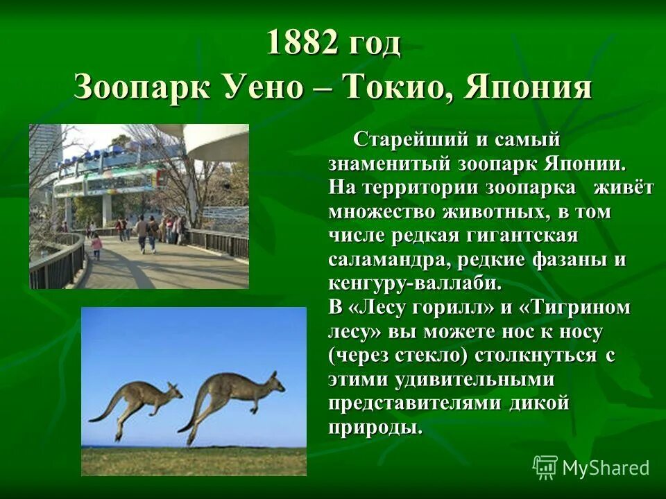 Рассказ про зоопарк 2 класс. Животные зоопарка рассказ. Рассказ про зоопарк 2 класс. Московский зоопарк доклад. Презентация на тему зоопарк.