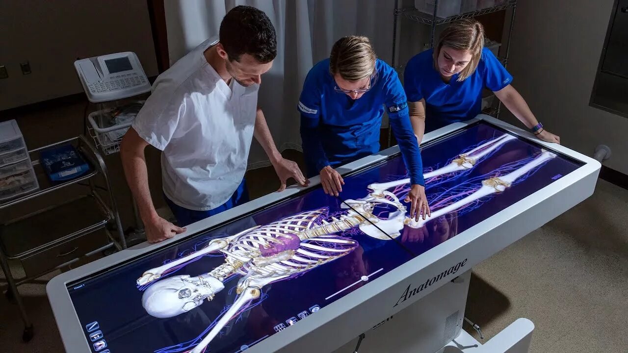 Современное исследование человека. Виртуальный анатомический стол Anatomage. Анатомический стол Пирогова. Стол Пирогова анатомия. Интерактивный анатомический стол пирогов.