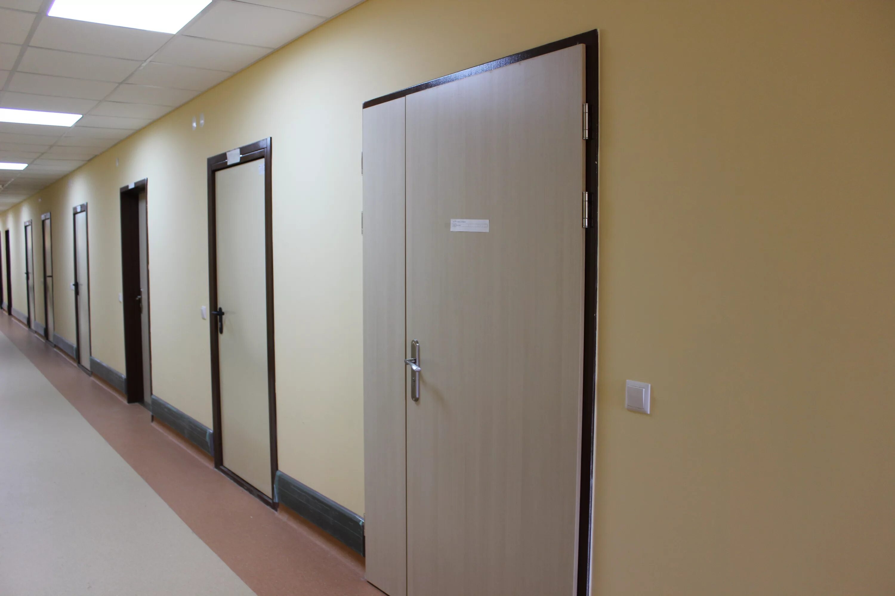 Рентгенозащитные двери ДП 1 уз. Рентгенозащитная дверь 2200 высотой 2000мм. Двери HPL для медицинских учреждений. Двери в мед учреждениях. Двери для медицинских учреждений