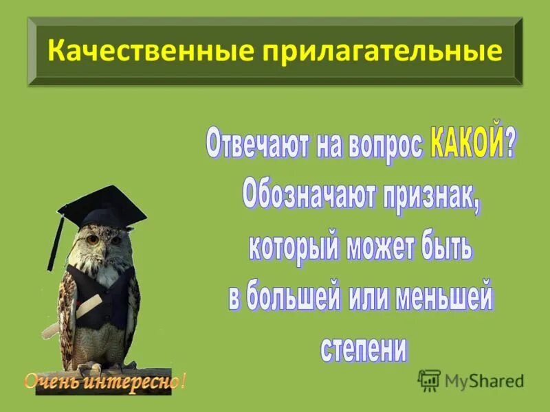 Укажите относительные прилагательные. Рисунок на тему качественные прилагательные. Дом охотника притяжательное прилагательное. Дом охотника притяжательное прилагательное. Качественные прилагательные картинки.