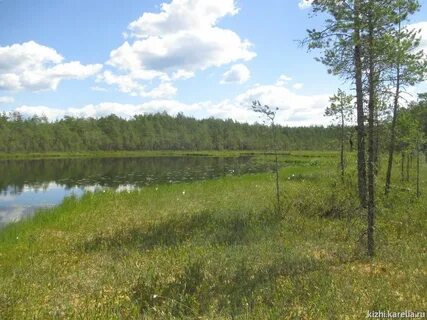 Бабаевский вологодская область