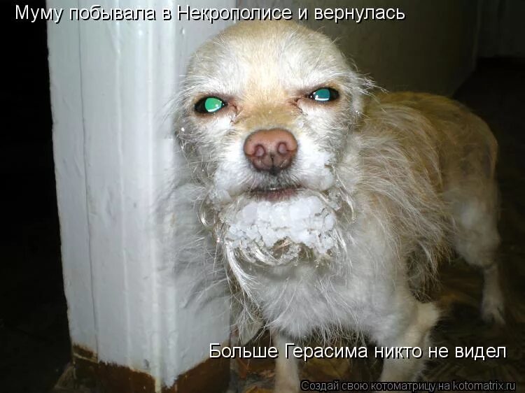 муму возвращается