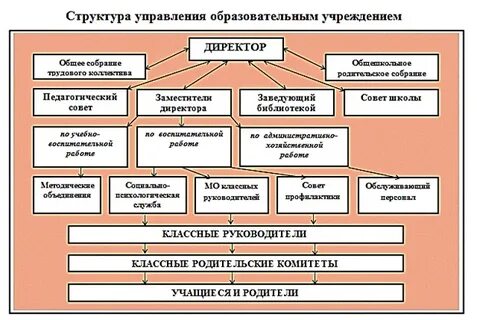 Структура учреждения высшего образования