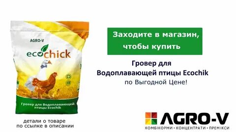 Лучший комбикорм для бройлеров отзывы