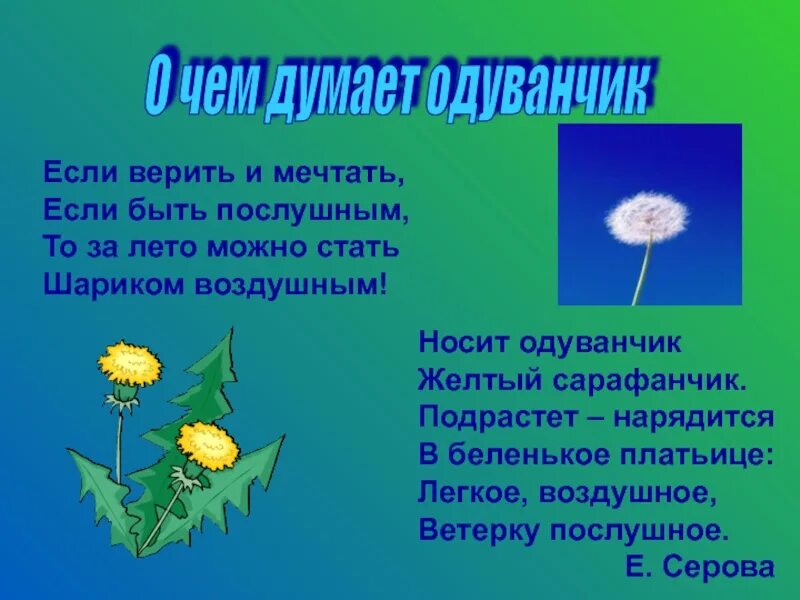 Желтый одуванчик стих. Одуванчик одуванчик желтый сарафанчик. носит одуванчик желтый сарафанчик подрастет нарядится в беленькое. стихотворение носит одуванчик. стихотворение носит одуванчик желтый сарафанчик.