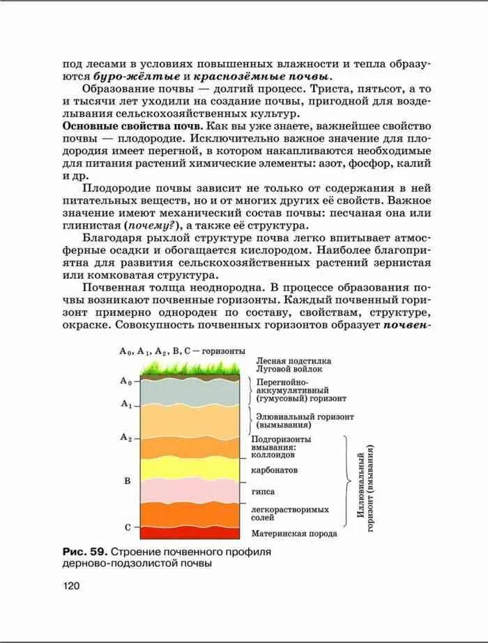 География 8 класс природа население хозяйство. Основные сведения о почвах бурятии. география 8 класс учебник дронов баринова ром. основные сведения о почвах бурятии 4 класс. учебник по географии 8 класс дронов баринова.