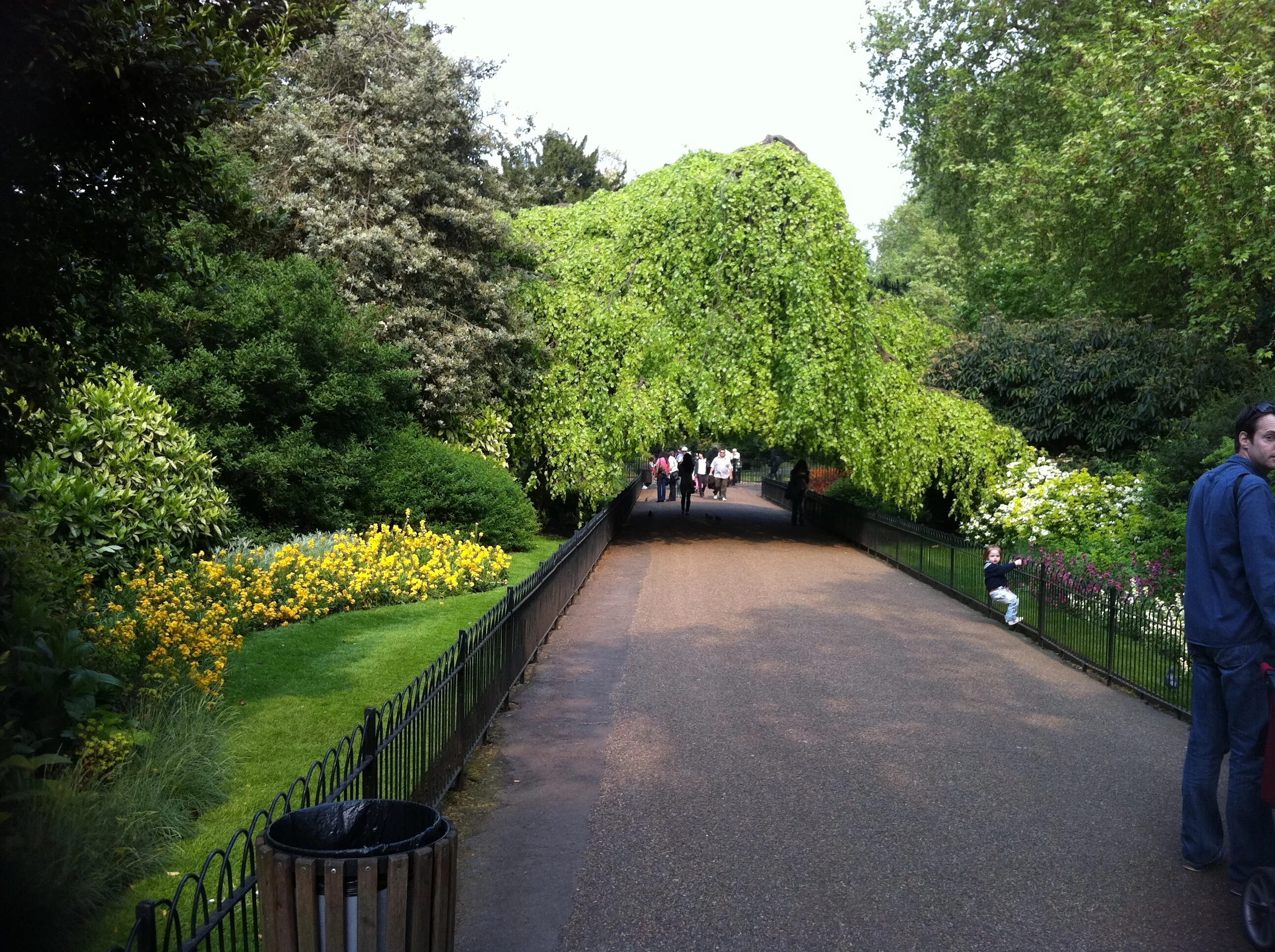 Грин парк лондон фото. Гайд-парк (hyde park), лондон. Парк лондона hyde park. Гайд-парк (hyde park). Гайд-парк (hyde park), лондон.