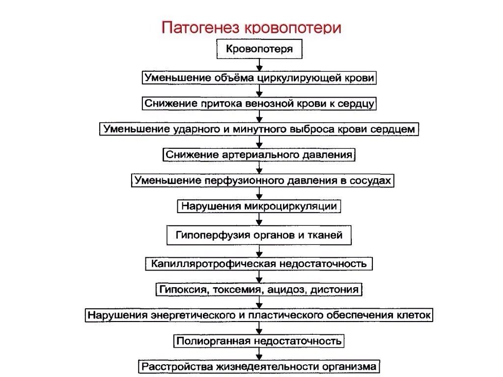 Острая кровопотеря объем. Патогенез хронической кровопотери. Острая кровопотеря механизмы развития. Патогенез острой потери крови. Патогенез нарушения ОЦК.