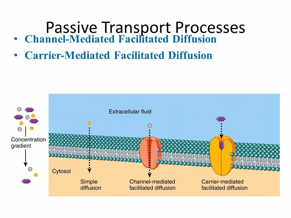 Processing passed