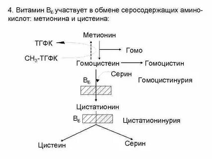 Нарушение обмена серосодержащих аминокислот
