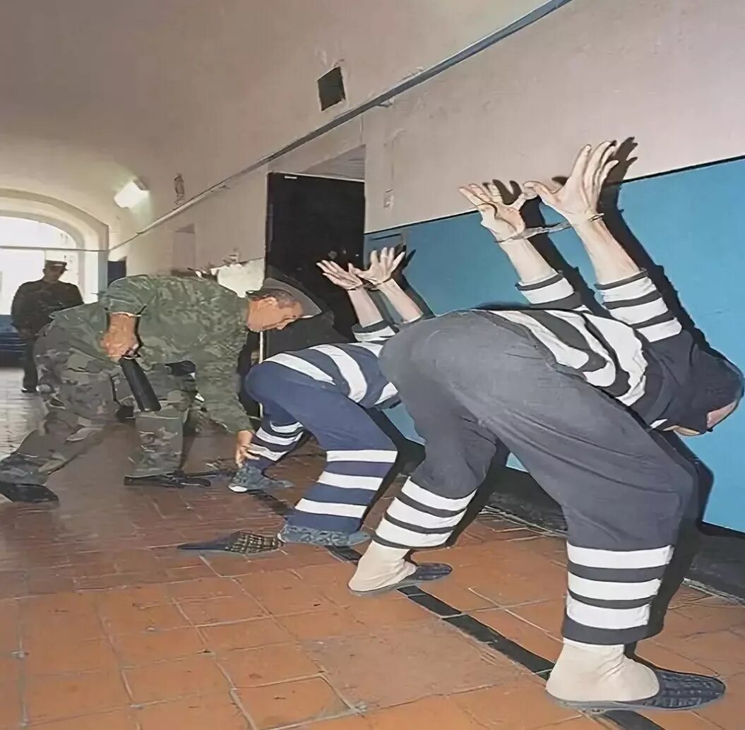 Колония для пожизненно осужденных черный дельфин. Режим пожизненно осужденных. Соль-илецк ик-6 черный дельфин. Ик-6 черный дельфин. Черный дельфин колония особого режима.