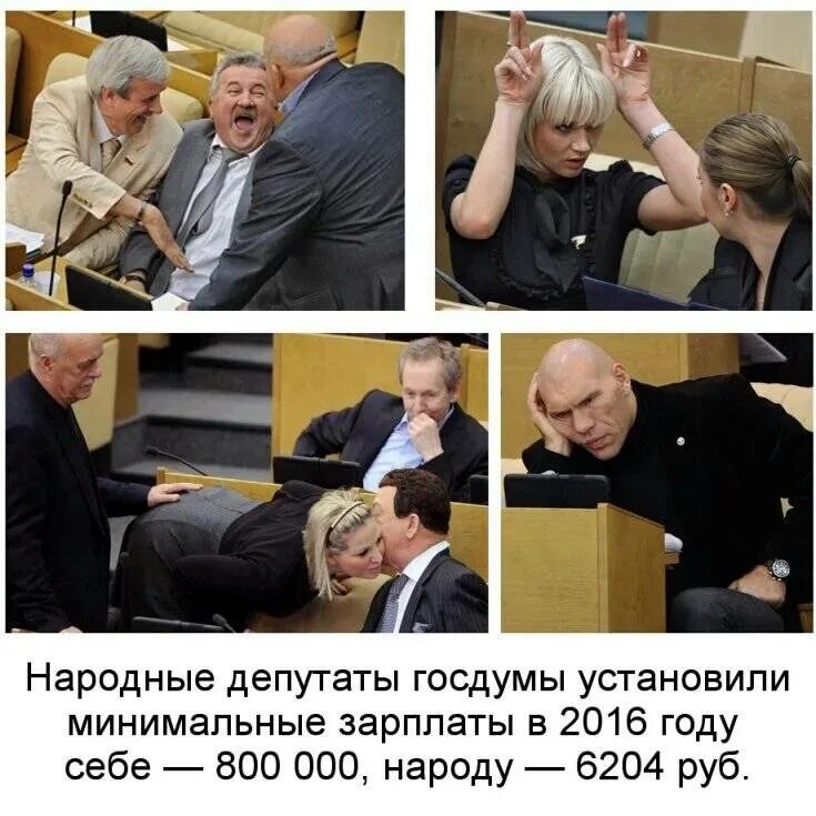 Какие решения принимают депутаты. Депутаты государственной думы. чиновники и депутаты. зарплата депутата госдумы. самый нелепый депутат.