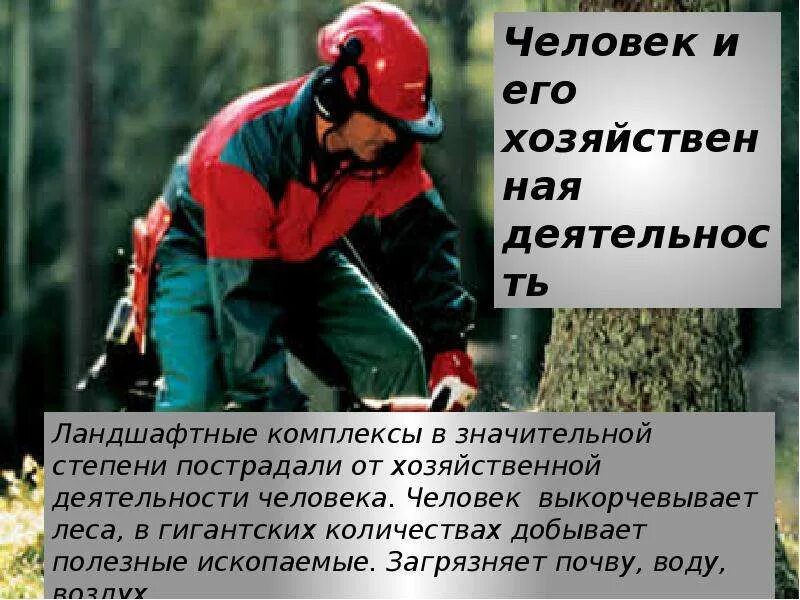 Какая деятельность человека в широколиственных лесах. Хозяйственная деятельность человека широколиственных лесов. деятельность человека в смешанных и широколиственных лесах. деятельность человека широколиственных лесов. деятельность человека в зоне лесов.