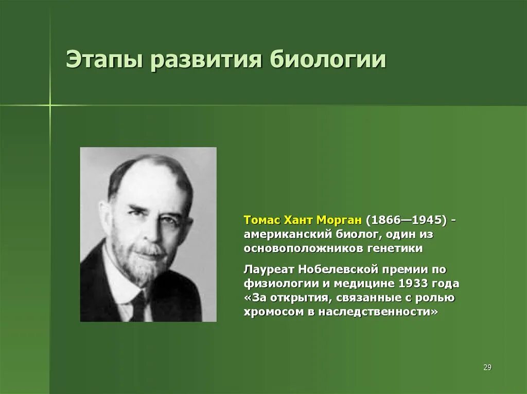 Области биологии 5. Открытия в биологии. Советские ученые биологи. Этапы развития биологии.