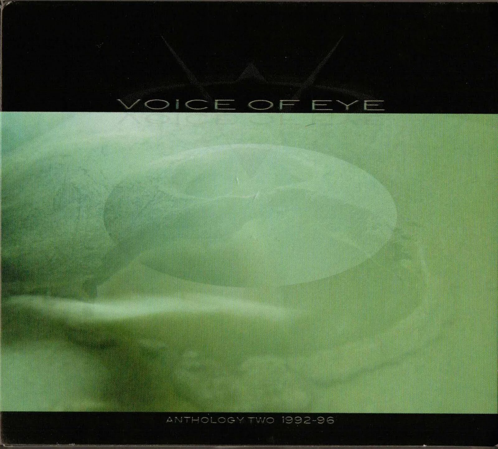Voices of the void сигналы. Voice of Eye Anthology two 1992-1996. Voice of Eye Band. Voices of the Void картинки.