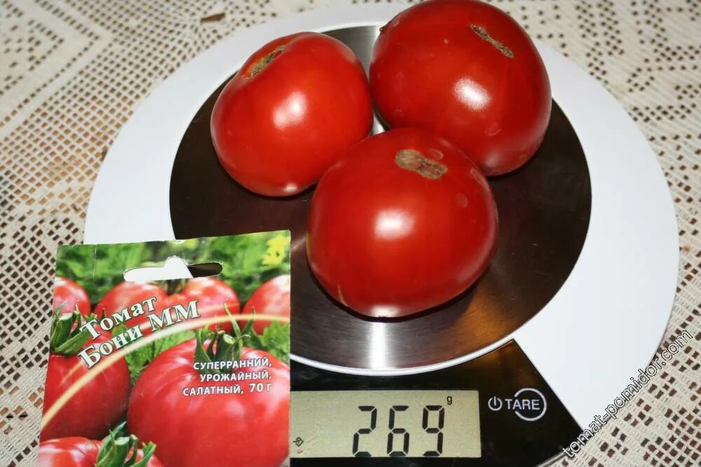 Сорт томатов Бони м. Гавриш томат Бони мм. Семена томат Бони мм. Томат Бони мм характеристика.