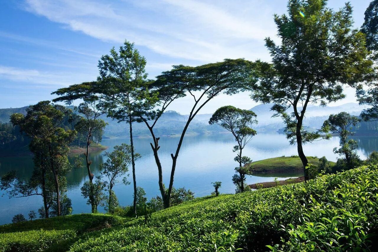 Шри ланка река. Ceylon Tea Trails Шри Ланка. Ландшафты Шри Ланки. Остров Цейлон природа. Канди Шри Ланка водопады.