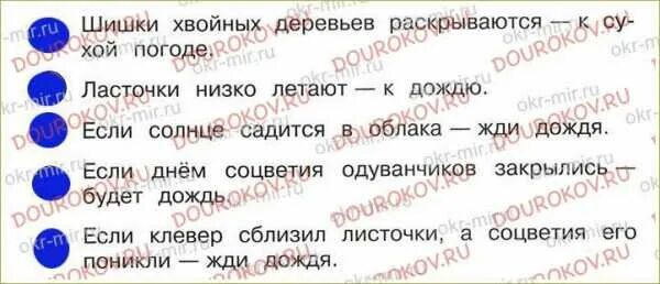 Хвойных деревьев раскрываются примета. Шишки хвойных деревьев раскрываются примета. приметышишки хвойныйны деревьев раскрываются.