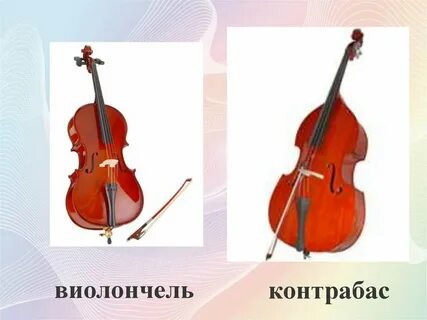 Чем отличается виолончель