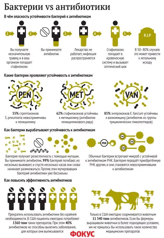 Бактерии устойчивые к антибиотикам. Резистентность микроорганизмов к антибиотикам. Устойчивость микробов к антибиотикам. Устойчивость бактерий к антибиотикам.