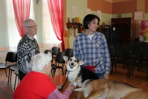 Собаки петрозаводск