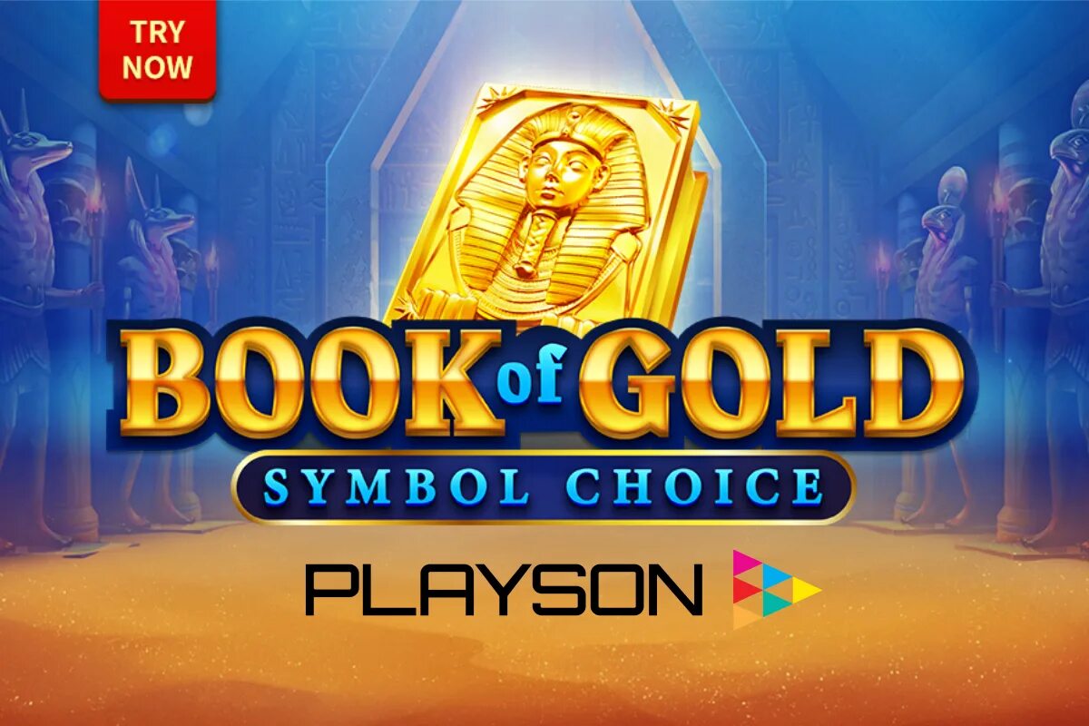 Book of gold. Gold Slots. Gold book. Book of Slot. Book of Gold game.