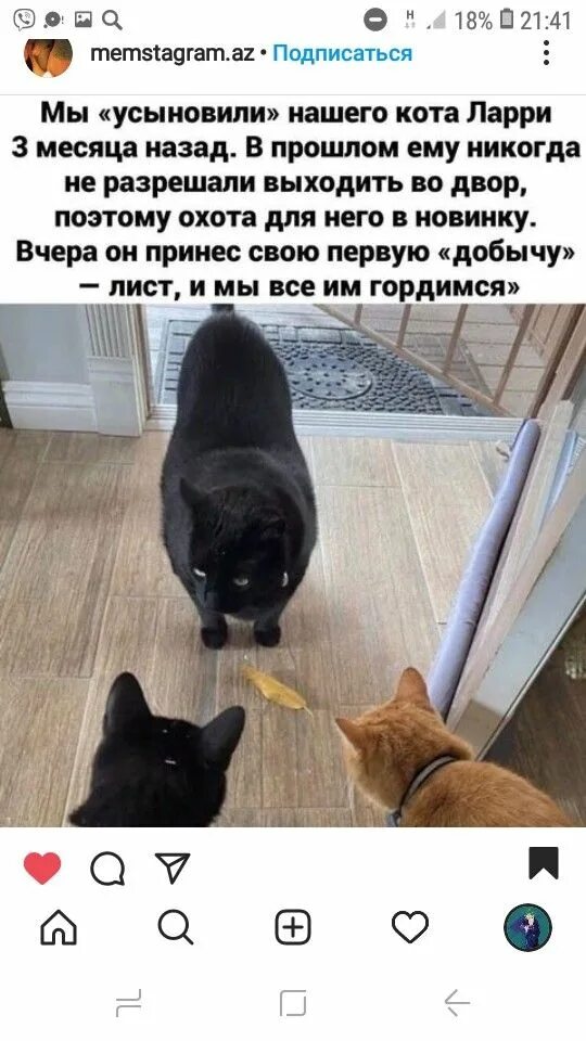 Тот принеси его под него