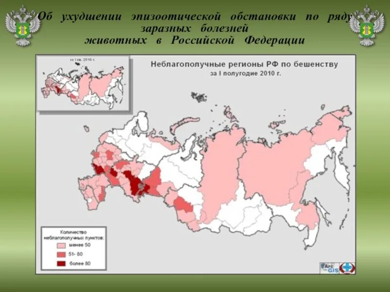 Эпизоотическое благополучие. Ухудшение эпизоотической обстановки. Распространение болезни Ауески. Пироплазмоз распространение в России карта. Эпизоотическая ситуация в Российской Федерации.