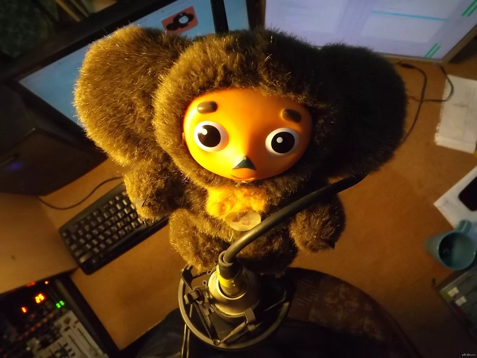 Чебуратор. Чебуратор. Чебуратор. Чебурашка терминатор. Чебурашка прикольные.