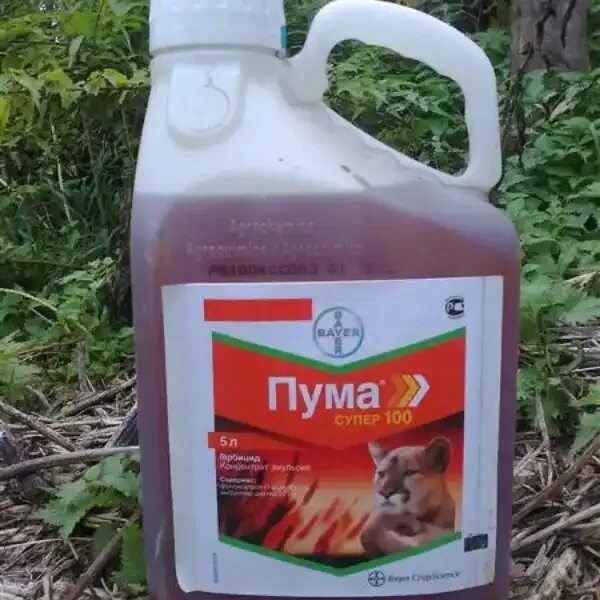 Пума 100 гербицид инструкция. Пума 100 гербицид. пума 7.5 гербицид. гербициды для пшеницы. глифошанс гербицид.